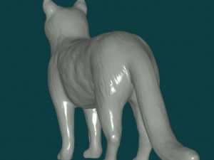 Cat Modello 3D
