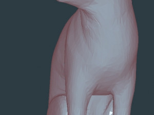 Cat Modelo 3D