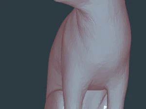 Cat 3D Model
