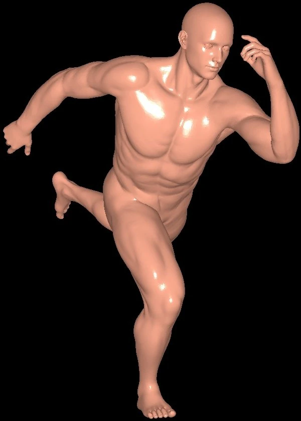 Stand-pose 3D Print Model .c4d .max .obj .3ds .fbx .stl .blend