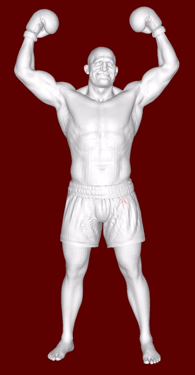 Boxer 3D Принт Модель .c4d .max .obj .3ds .fbx .stl .blend 
