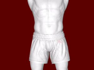 Bokser Model do druku 3D