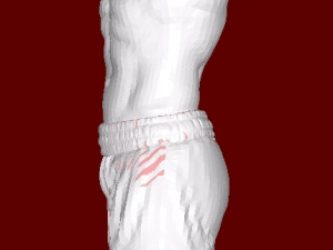 Boxer 3D Принт Модель