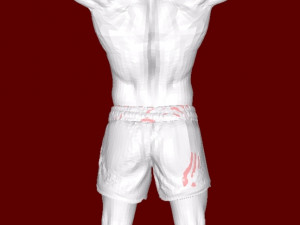 Boxer 3D Принт Модель