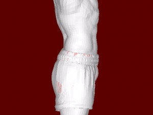 Boxer 3D Принт Модель