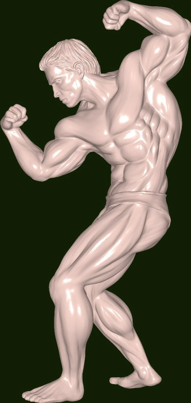 Mruniverse Arnold 3D Model .c4d .max .obj .3ds .fbx .stl .blend