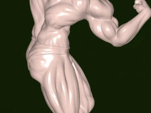 Mruniverse Arnold 3D Model