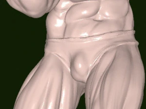 Mruniverse Arnold 3D Model