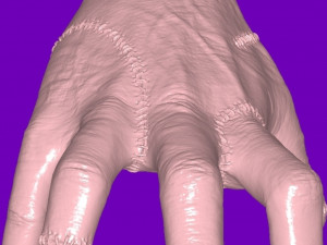 Wednesday - Thing 3D Model