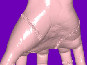 Wednesday - Thing 3D Model