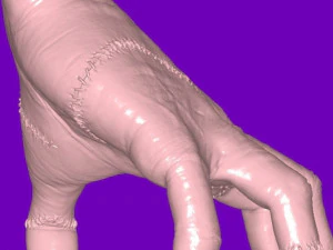 Wednesday - Thing 3D Model