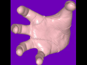 Wednesday - Thing 3D Model