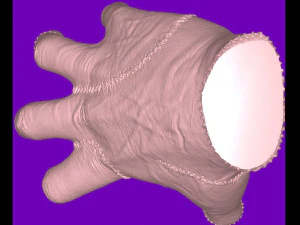 Wednesday - Thing 3D Model