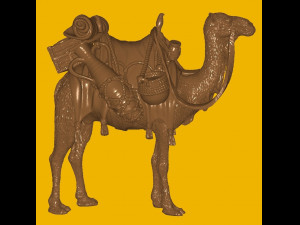 Camel 3D Model