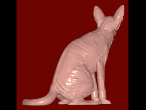 Royal Cat 3D 모델