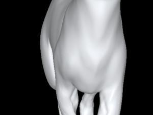 Cat 3D Model