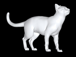 Cat 3Dモデル