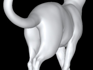 Cat 3Dモデル