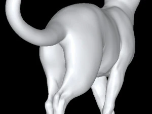 Cat 3D Model