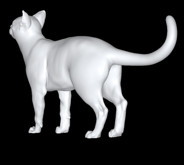 Cat Modello 3D