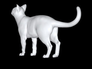 Cat 3Dモデル
