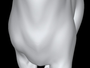 Cat 3Dモデル
