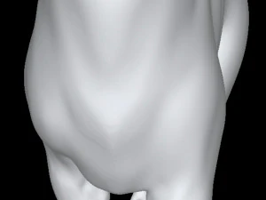 Cat 3D Model