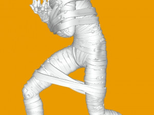 Advisor Mummy 3D Model