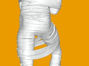 Advisor Mummy 3D Model