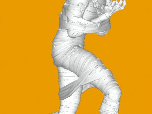 Advisor Mummy 3D Model