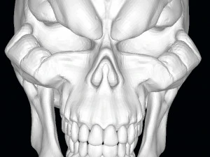 Koning van de dode schedel 3D Model