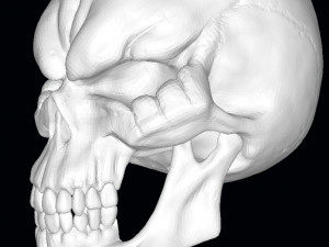 King of the Dead Skull 3D Model