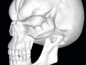 King of the Dead Skull 3D Model