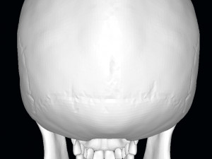 King of the Dead Skull 3D Model