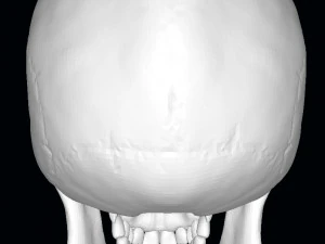 King of the Dead Skull 3D Model