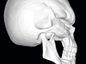 King of the Dead Skull 3D Model