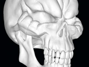 King of the Dead Skull 3D Model