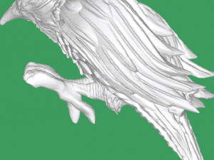 Merlin 3D Model