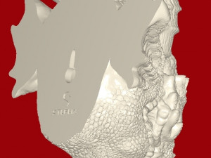 DragonDoorKnocker 3D-Druckmodell