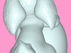 CONEJO DE PASCUAS CON TAPA 3D 프린트 모델