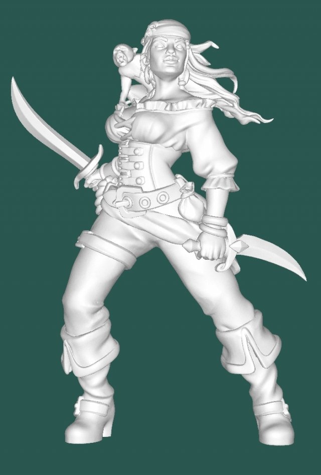 Pirate with a monkey 3D Model .c4d .max .obj .3ds .fbx .stl .blend 