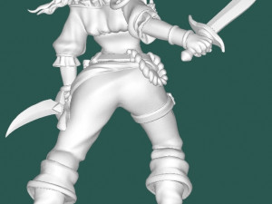 Pirate with a monkey 3D Model