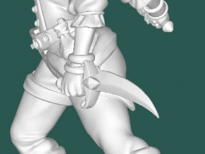 Pirate with a monkey 3D Model