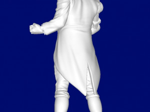 Donald-pierce 3Dプリントモデル