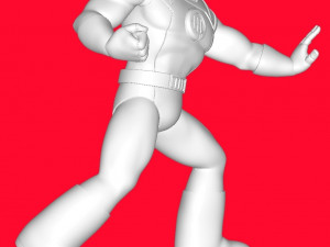 Sentinel 3Dプリントモデル