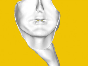 Sculpture 3D-printmodel