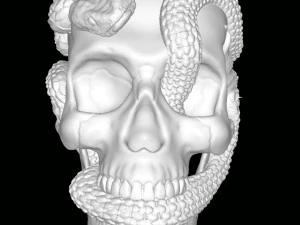 Skull with Snakes 3D Print Model