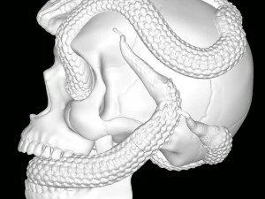 Skull with Snakes 3D Print Model