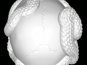 Skull with Snakes Model do druku 3D