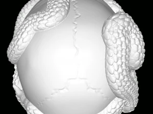 Skull with Snakes 3D Print Model